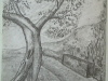 444 Viottolo di campagna Anno 1078