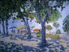 361 Anno 1980 . Parco delle