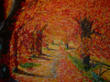 Autiunno nel bosco