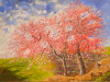 Primavera. Anno