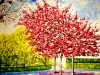 470 Anno 2023 Primavera a Milano del 10/04/2023.