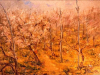 Primavera 1980