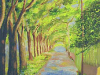 Viale alberato in primavera