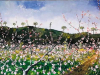 Primavera 2003