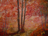 Bosco d'autunno