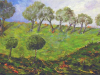 Ulivi