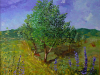 In campagna 2