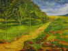 Viottolo di campagna