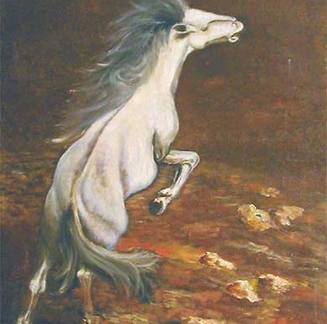 Altri soggetti