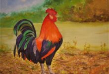 IL RE DEL POLLAIO