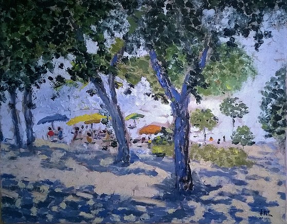 361 Anno 1980 . Parco delle