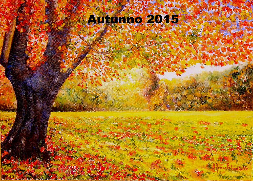 290 Autunno anno 2015