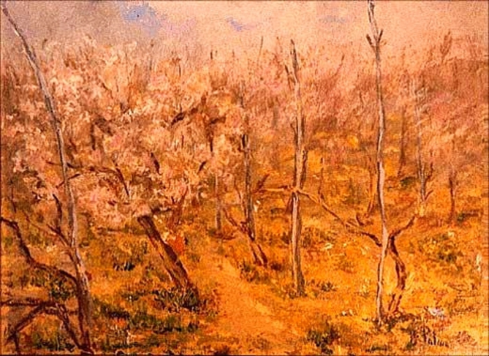 Primavera 1980
