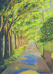 Viale alberato in primavera