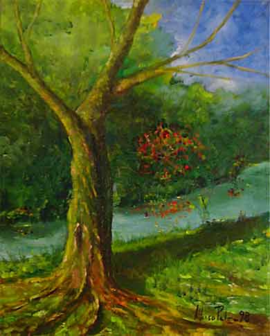 Albero solitario