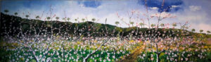 Primavera 2003