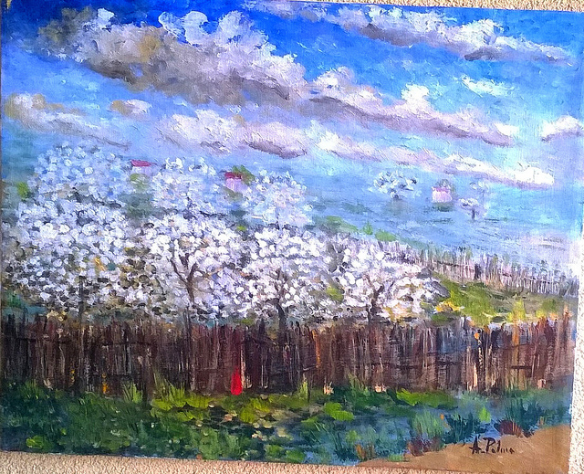 368 anno 1980 circa.Primavera 1980..