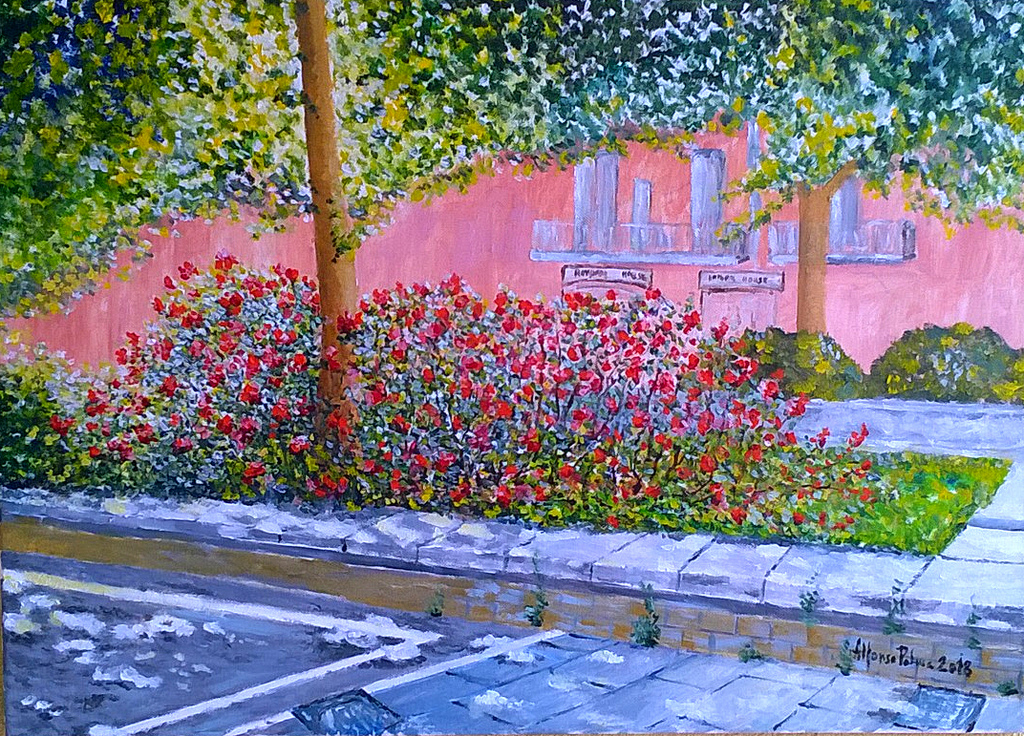 392 anno 2018 I giardini di viale Italia in Avellino ( Italia )