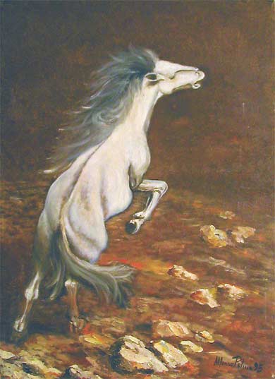 Cavallo imbizzarrito.