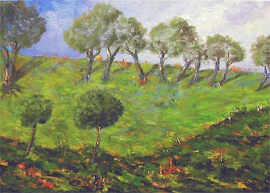 Ulivi