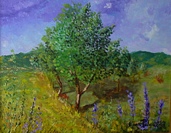 In campagna 2