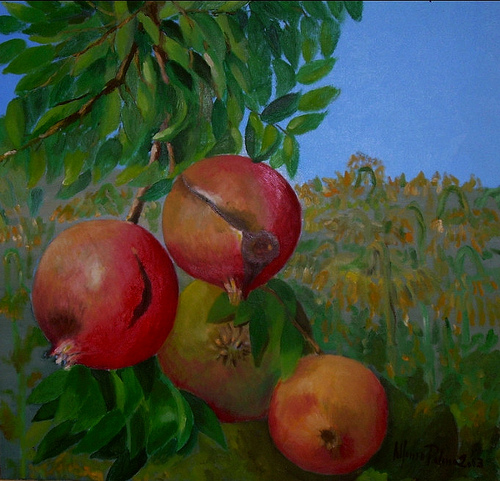 Melograni