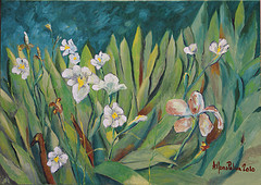 I miei iris