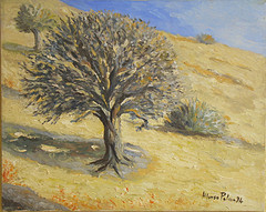 Terra di Puglia