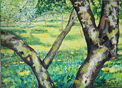 Nocciòlo