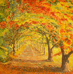 Verso novembre