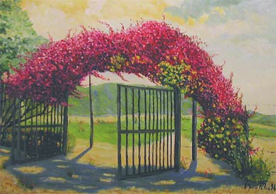 Bouganvillea