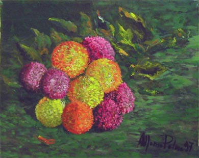 Fiori appena recisi
