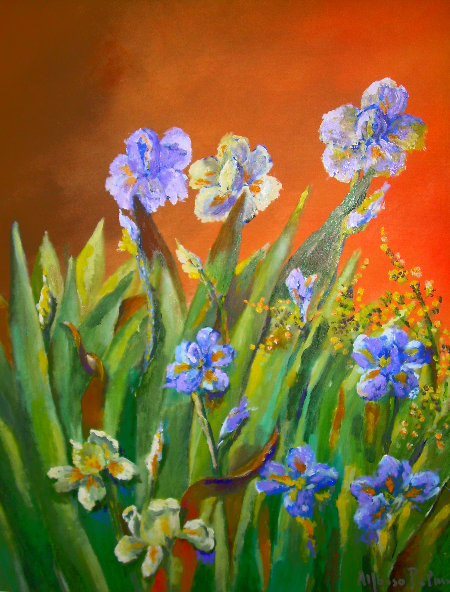 410. IRIS . Anno 2013 .