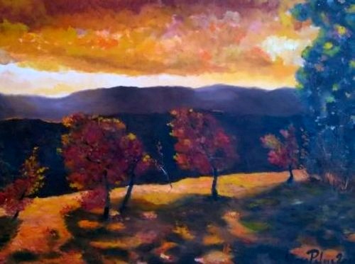 Fiamme al tramonto. Anno 2007