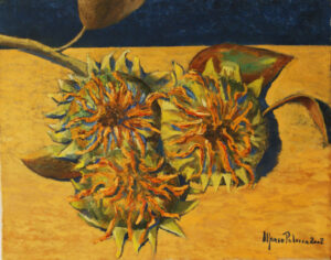 il_570xN.91Girasoli. Anno 1992